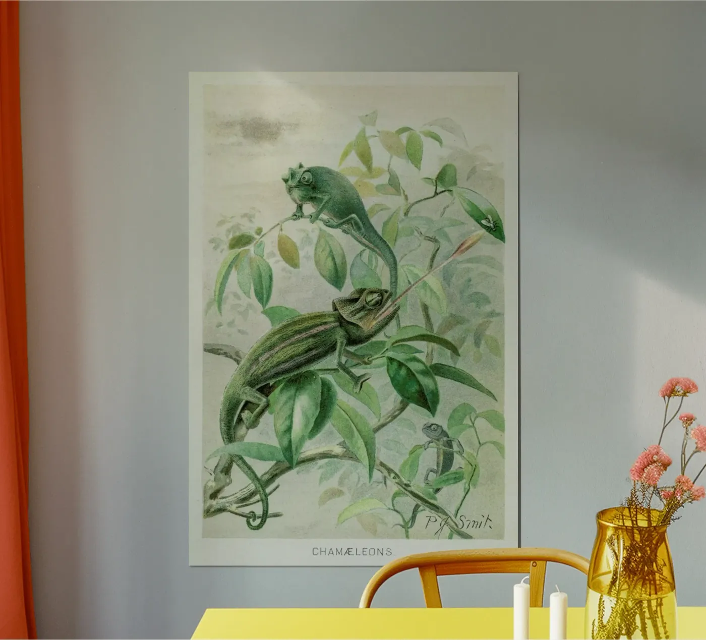 Chameleons poster van Flora & Fauna