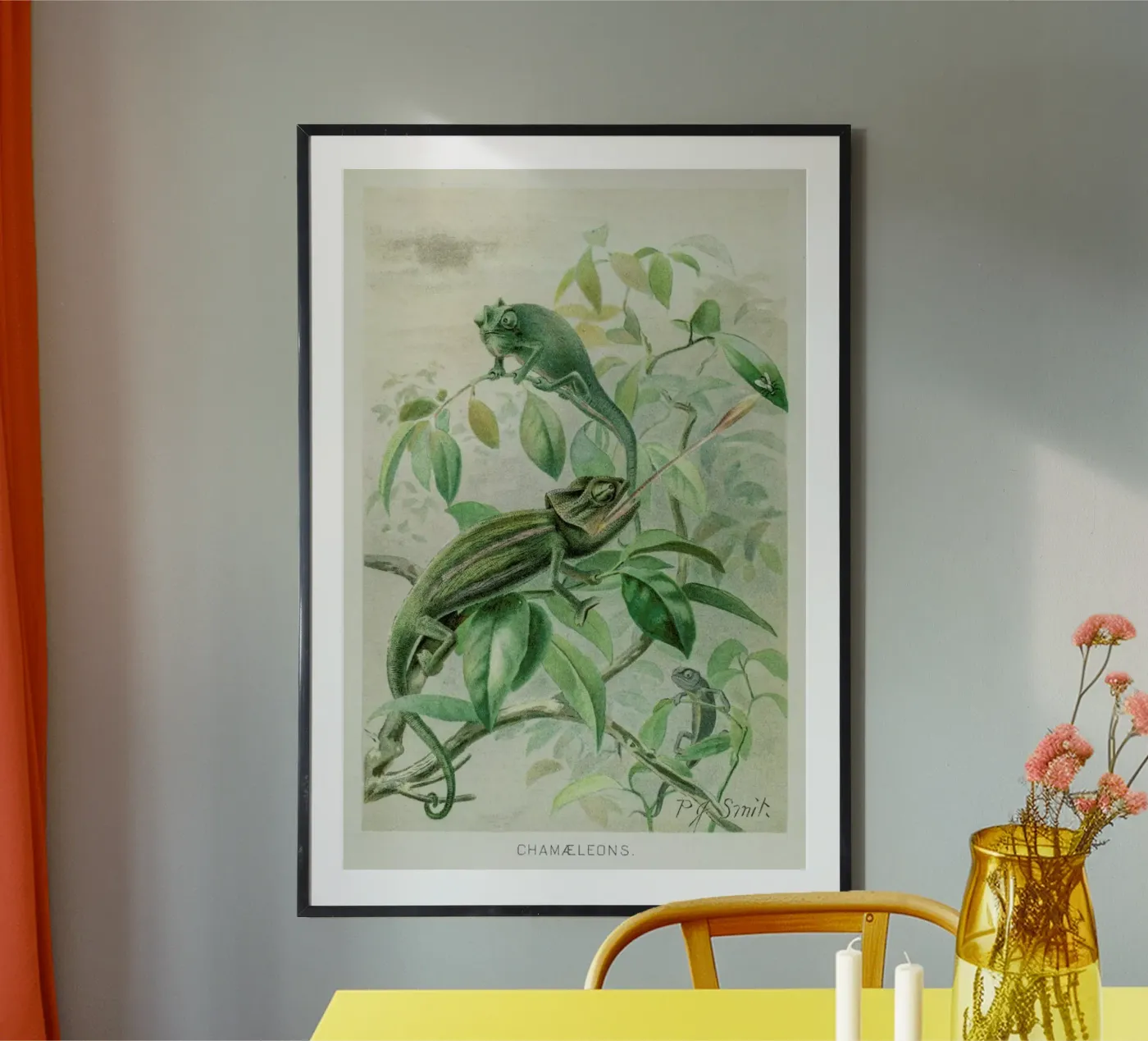 Chameleons poster van Flora & Fauna