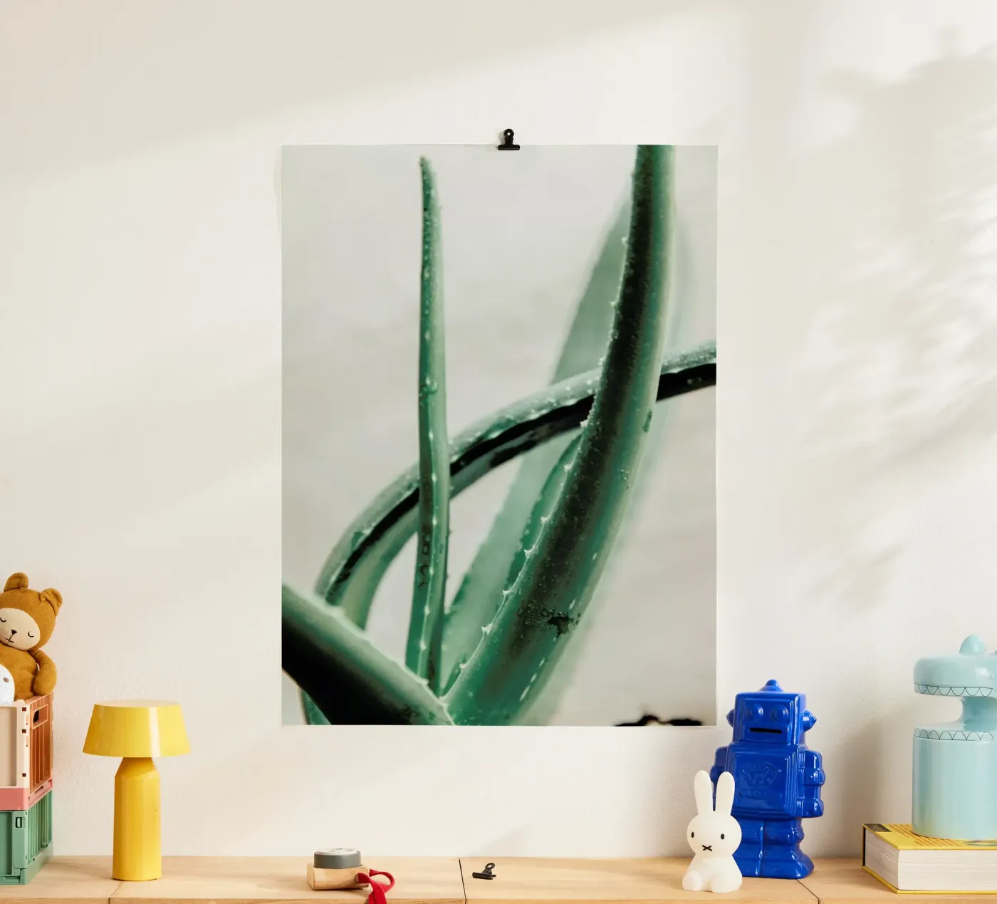Aloe Vera poster da Flora & Fauna