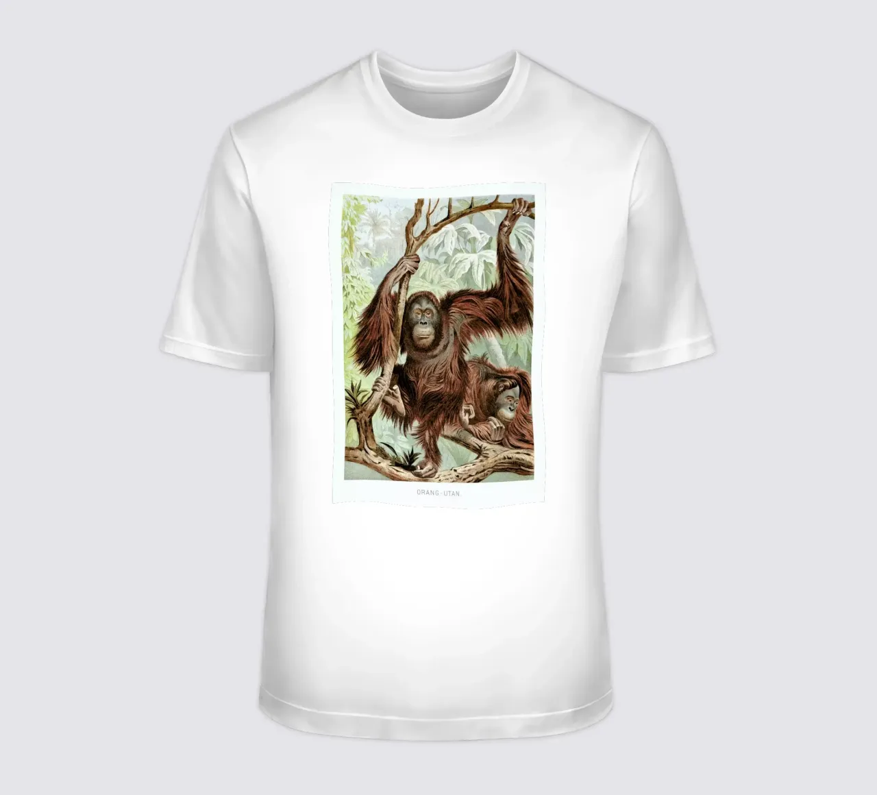 Orangutan pair t-shirt da Flora & Fauna