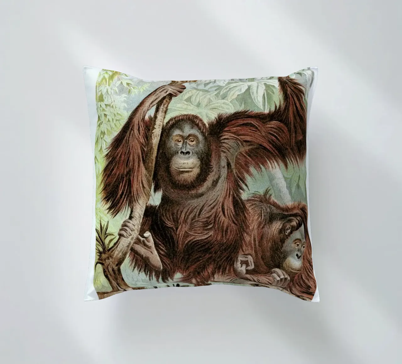 Orangutan pair cuscino da Flora & Fauna