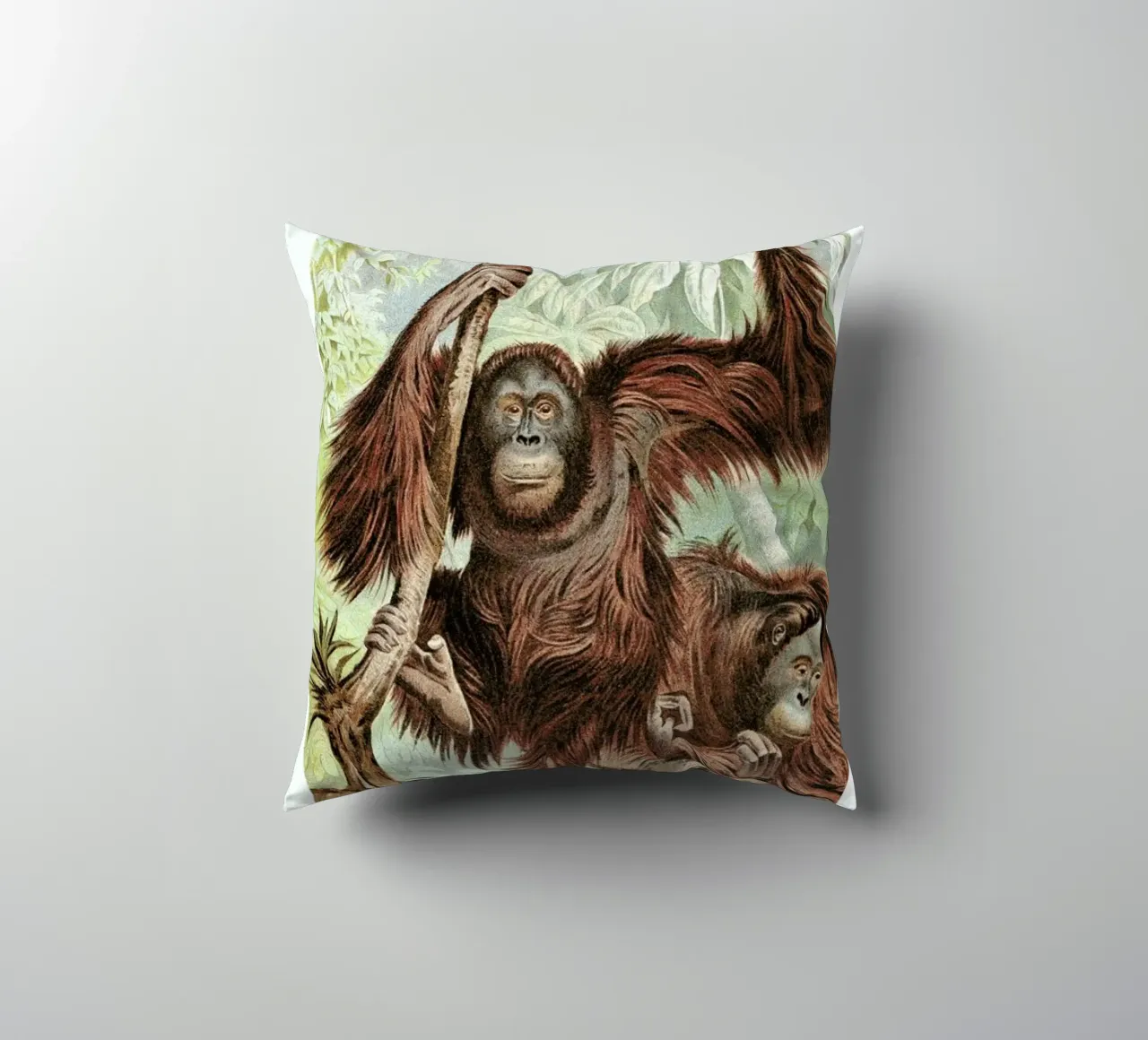 Orangutan pair cuscino da Flora & Fauna
