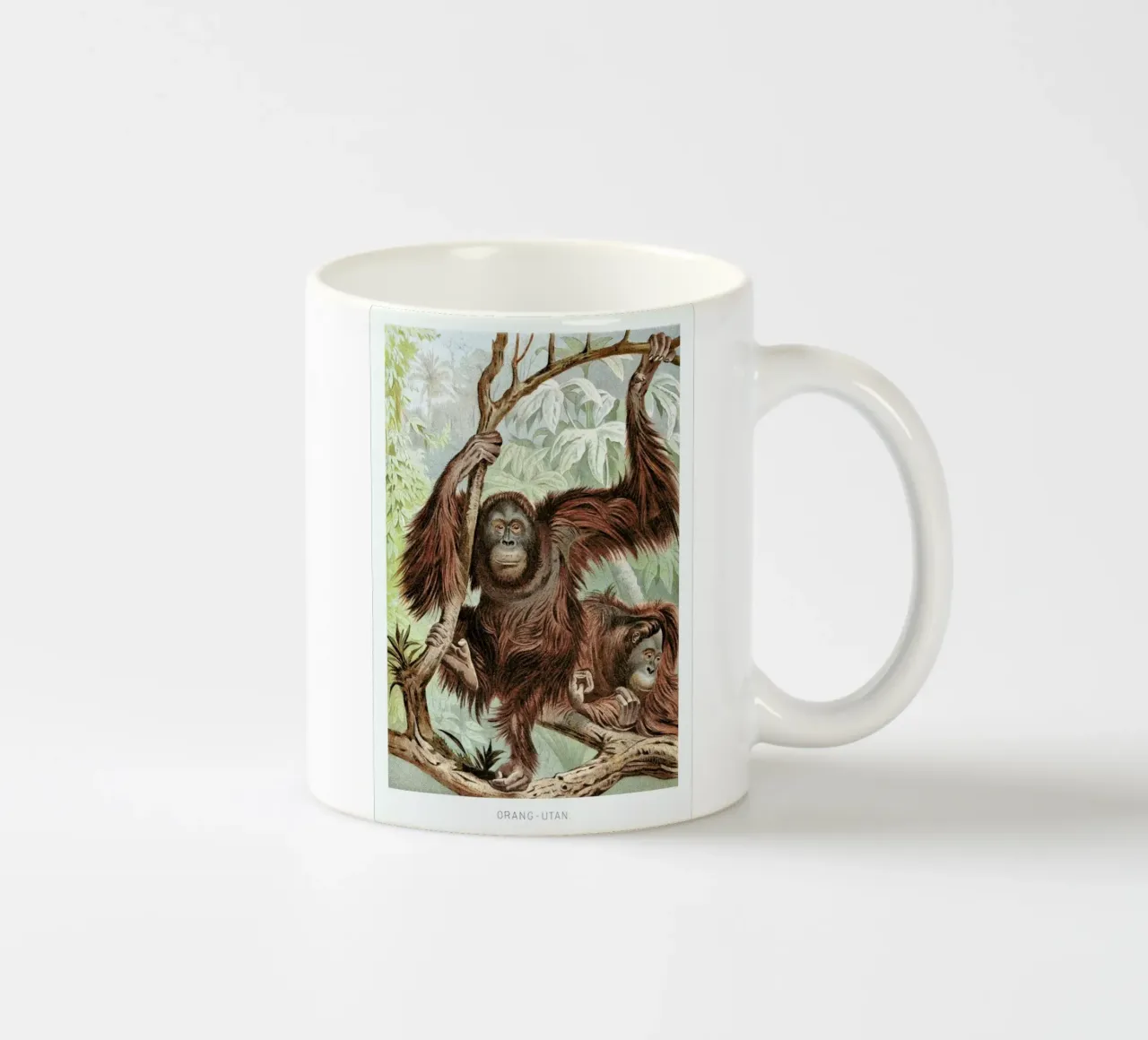 Orangutan pair tazza in ceramica da Flora & Fauna