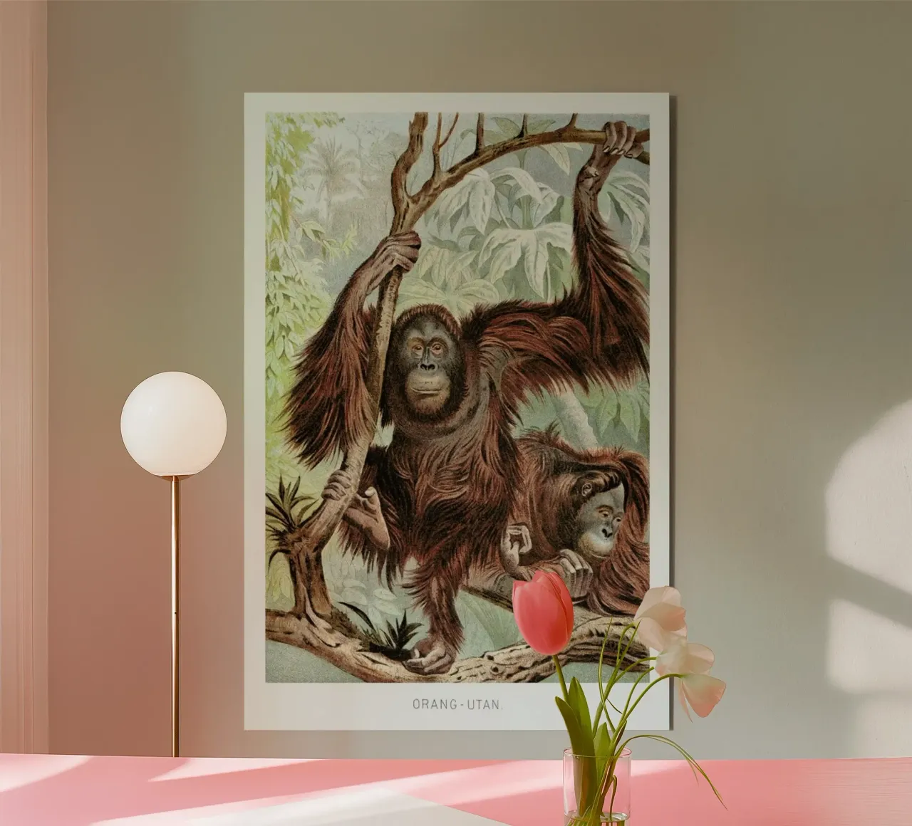 Orangutan pair alluminio dibond da Flora & Fauna