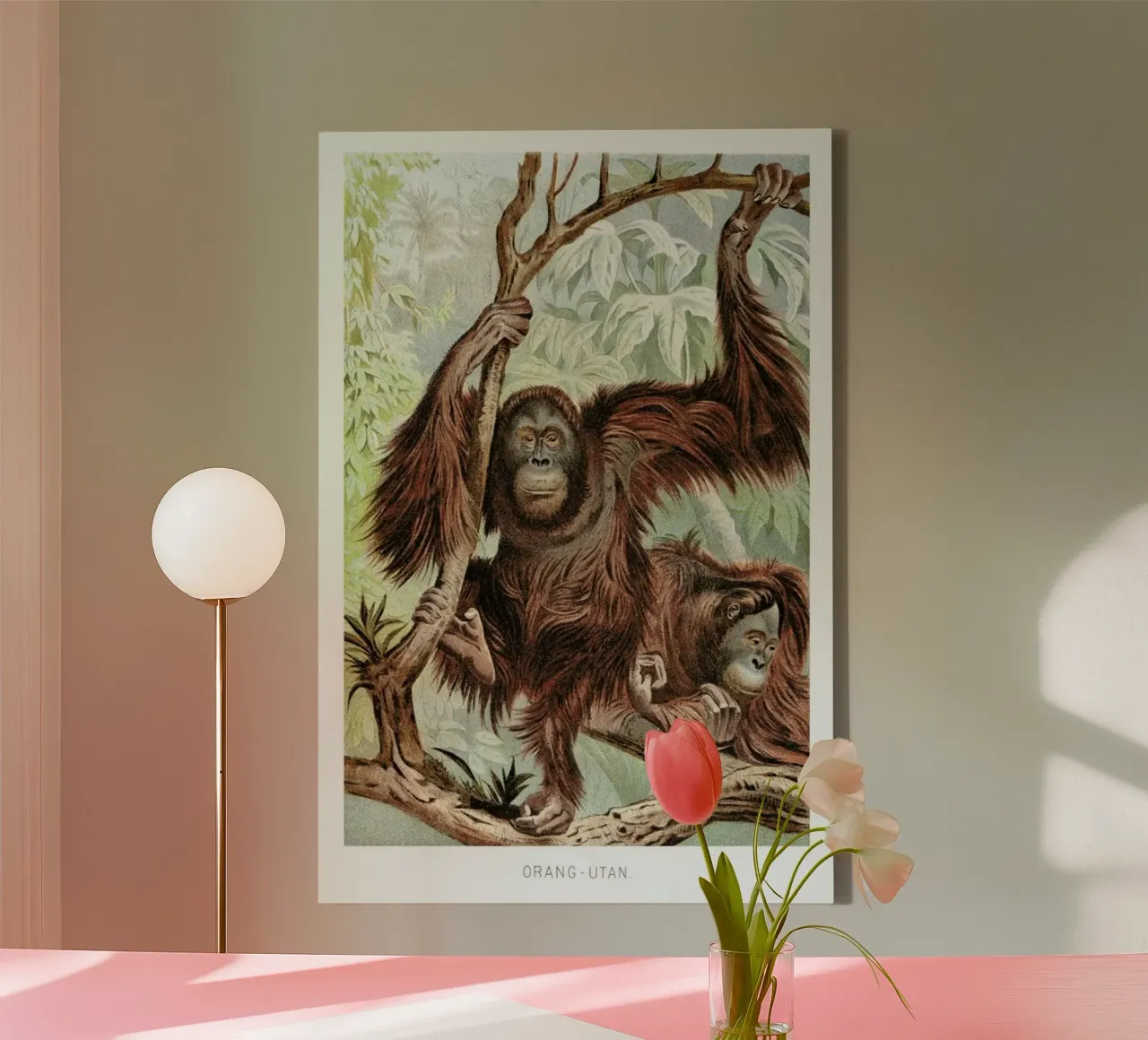 Orangutan pair tela con Cornice a cassetta da Flora & Fauna