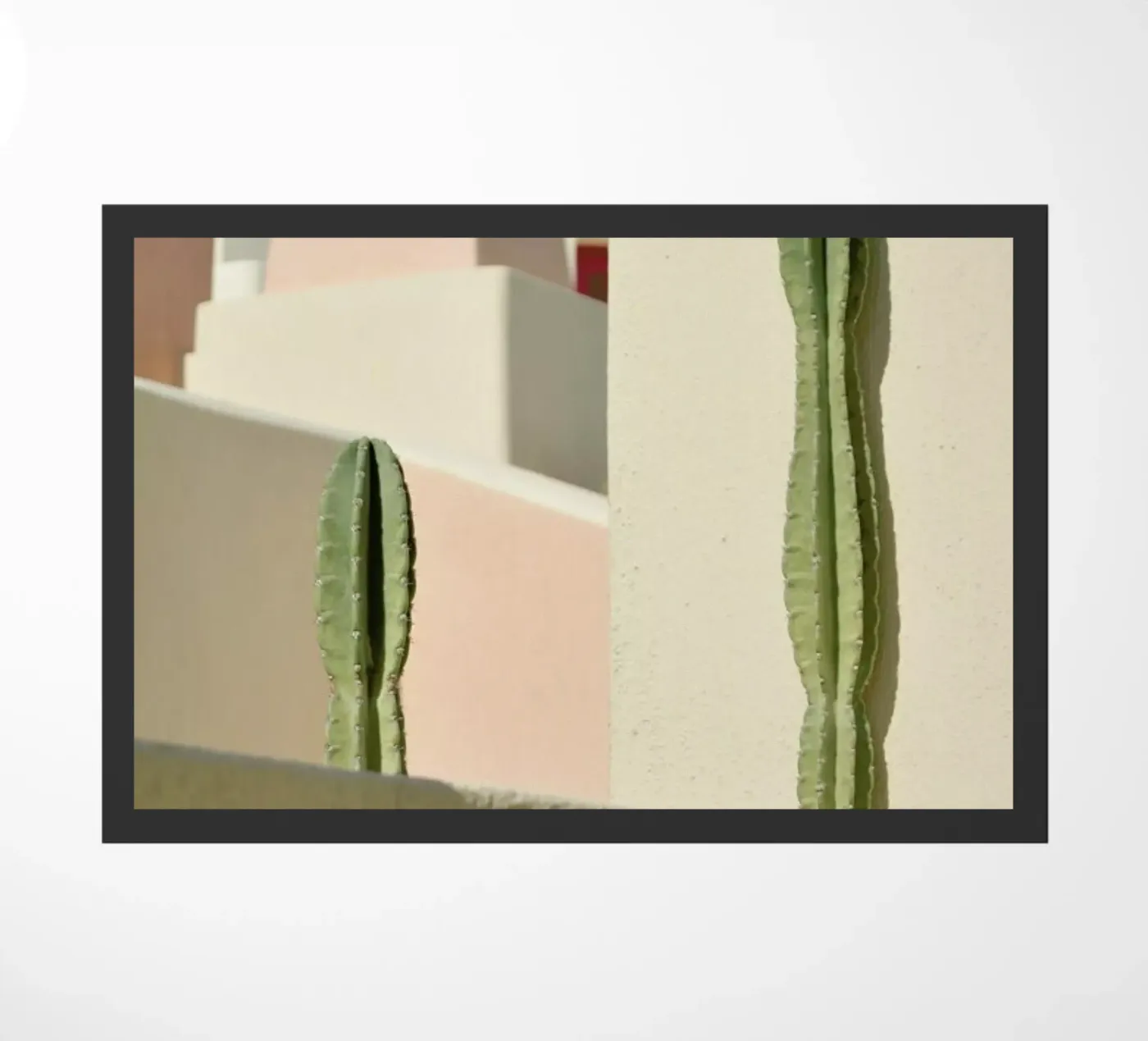 Hidden Gems zerbino da METROPOLIS