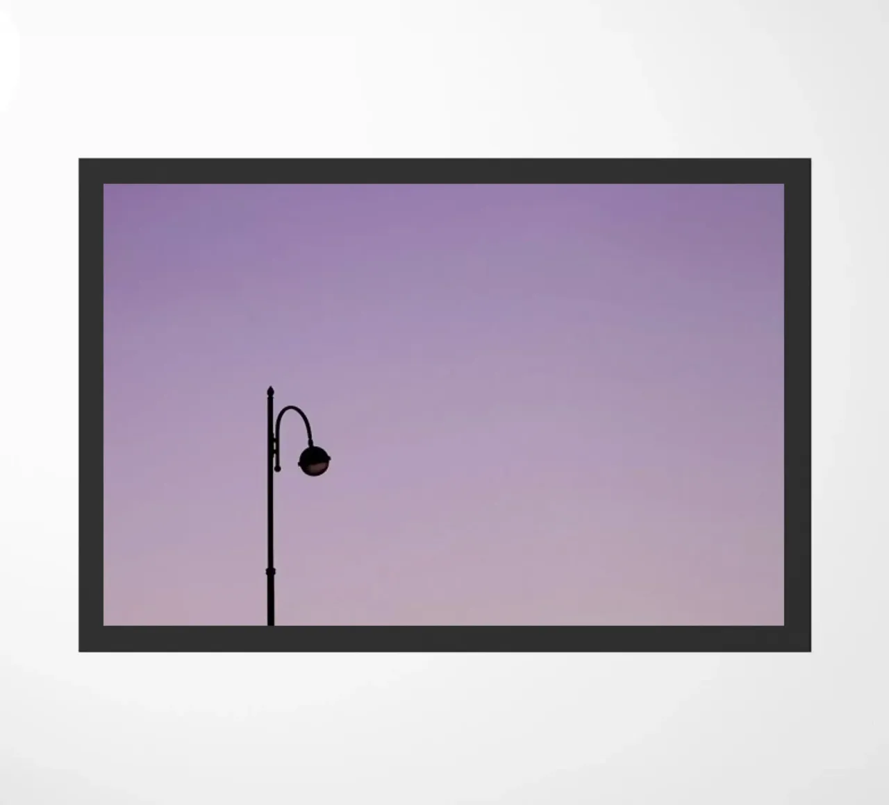 Moonlight zerbino da Rupert Höller