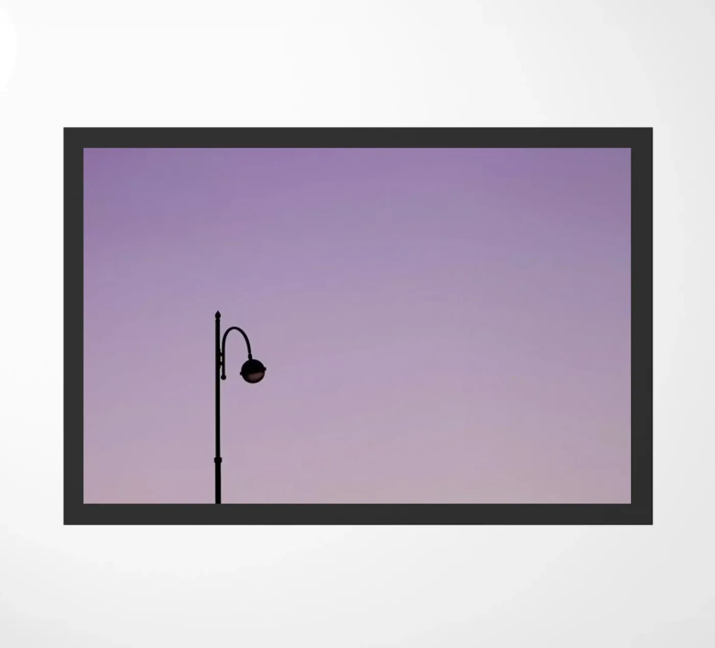 Moonlight zerbino da Rupert Höller