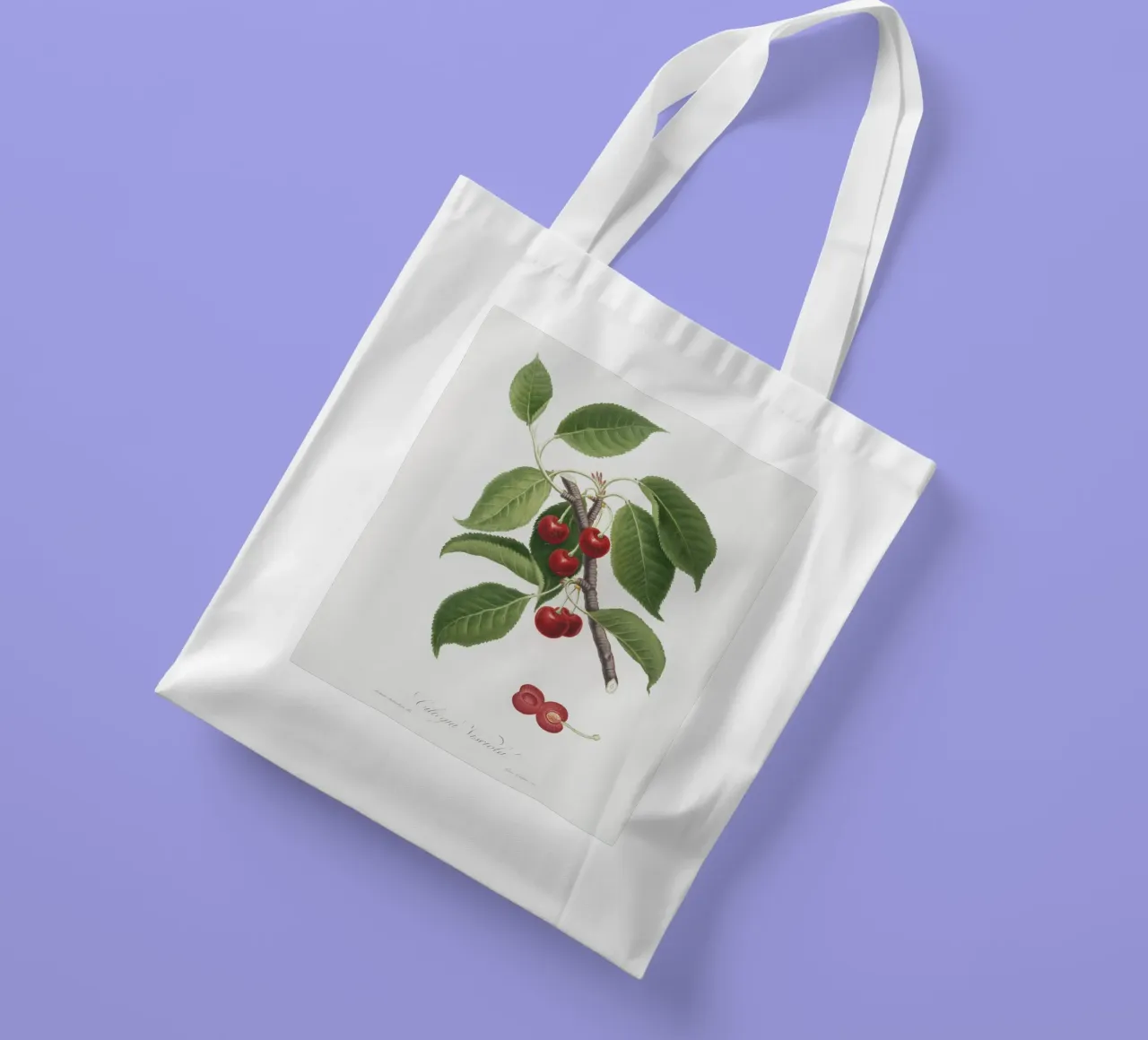 Sour cherry botanical illustration print tote bag by Pretty Flowers Vintage Botanicals