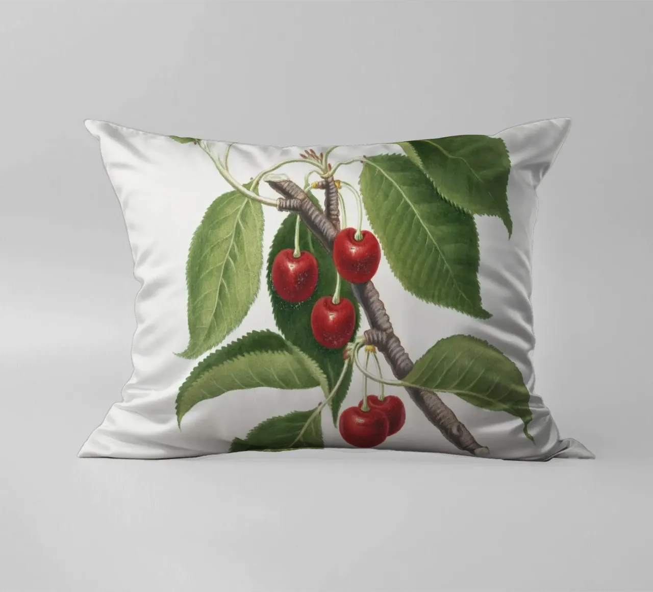 Sour cherry botanical illustration print decorative cushion by Pretty Flowers Vintage Botanicals