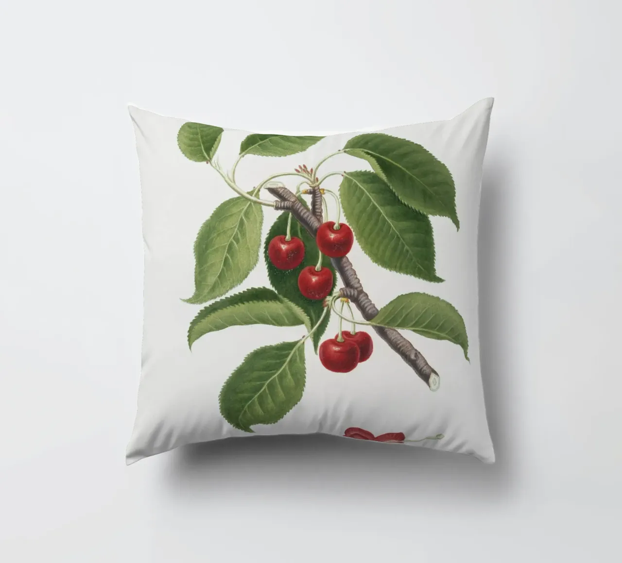 Sour cherry botanical illustration print decorative cushion by Pretty Flowers Vintage Botanicals