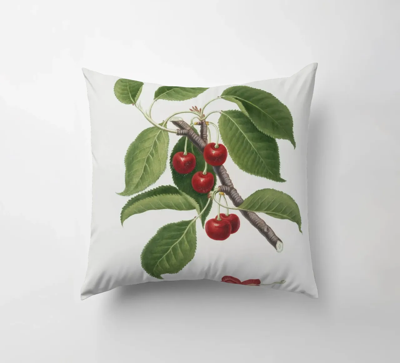 Sour cherry botanical illustration print decorative cushion by Pretty Flowers Vintage Botanicals