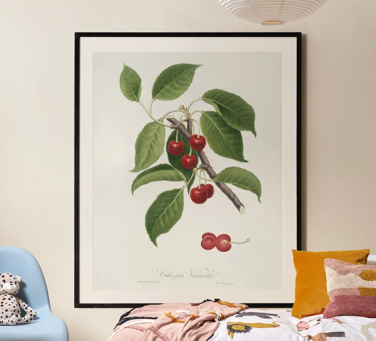 Sour cherry botanical illustration print poster by Pretty Flowers Vintage Botanicals