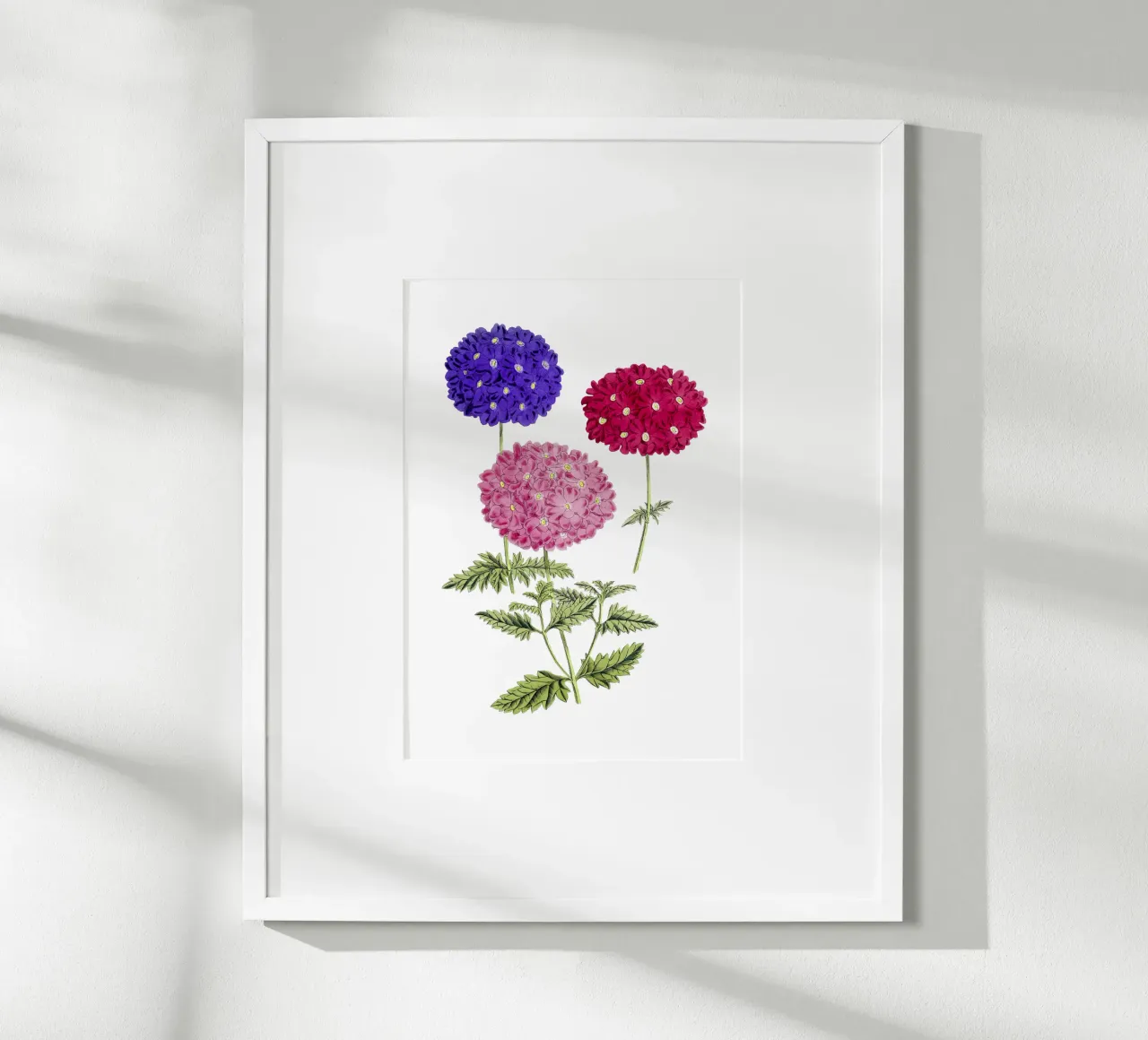 illustrazione di ortensie in fiore poster con telaio in alluminio da Pretty Flowers Vintage Botanicals