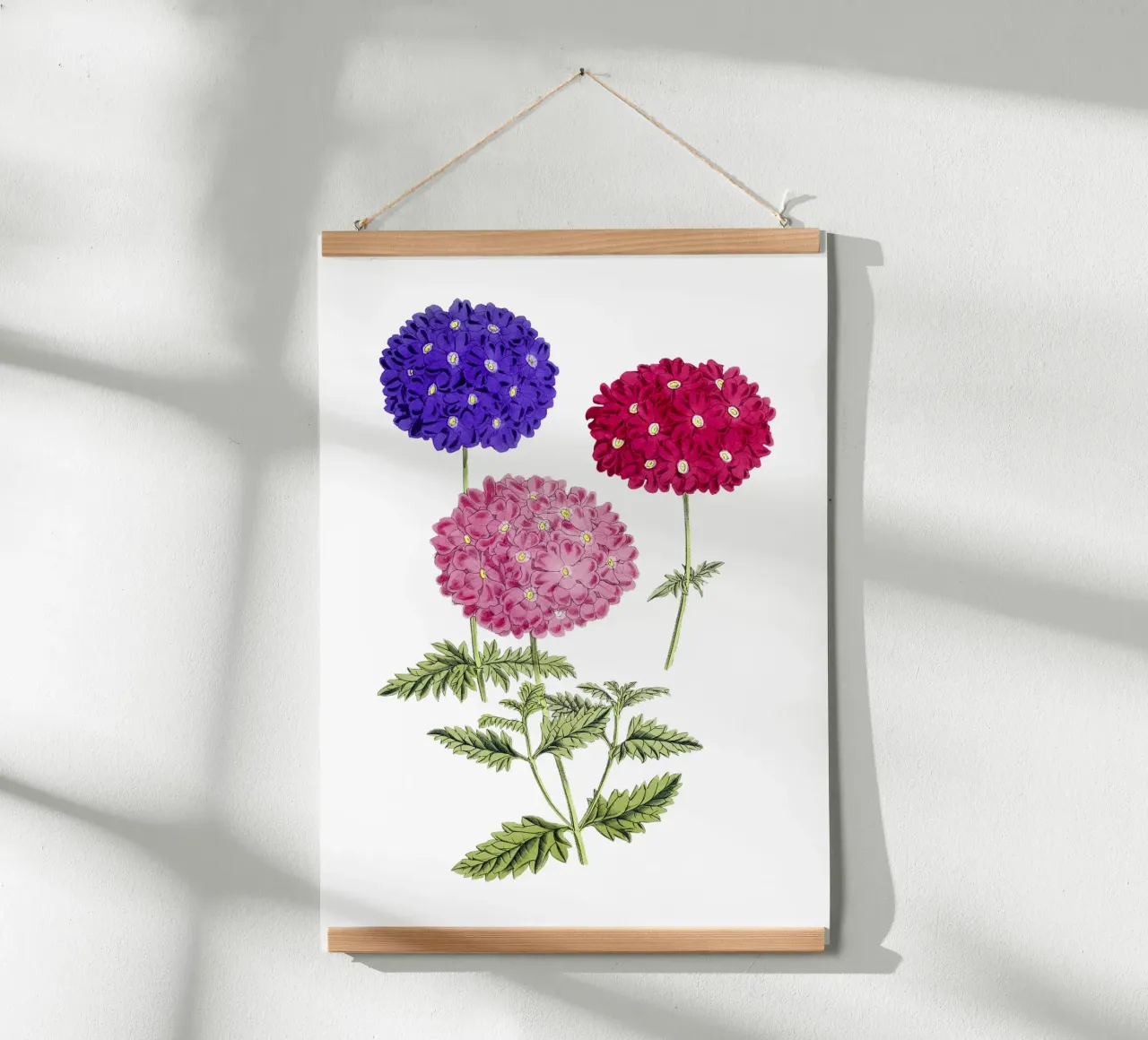 illustrazione di ortensie in fiore poster con telaio in alluminio da Pretty Flowers Vintage Botanicals