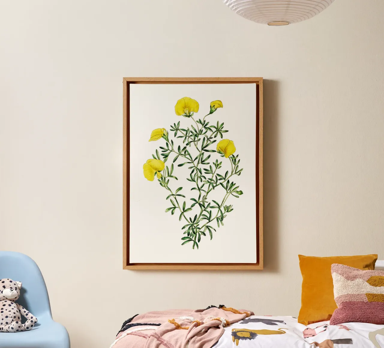 illustrazione botanica d'epoca fiore di gompholobium tela con Cornice a cassetta da Pretty Flowers Vintage Botanicals