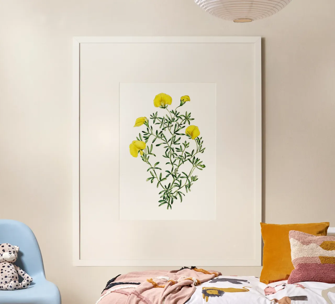 illustrazione botanica d'epoca fiore di gompholobium poster da Pretty Flowers Vintage Botanicals