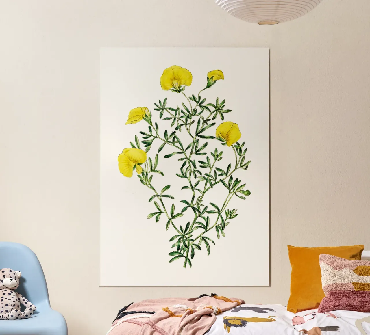 illustrazione botanica d'epoca fiore di gompholobium poster da Pretty Flowers Vintage Botanicals