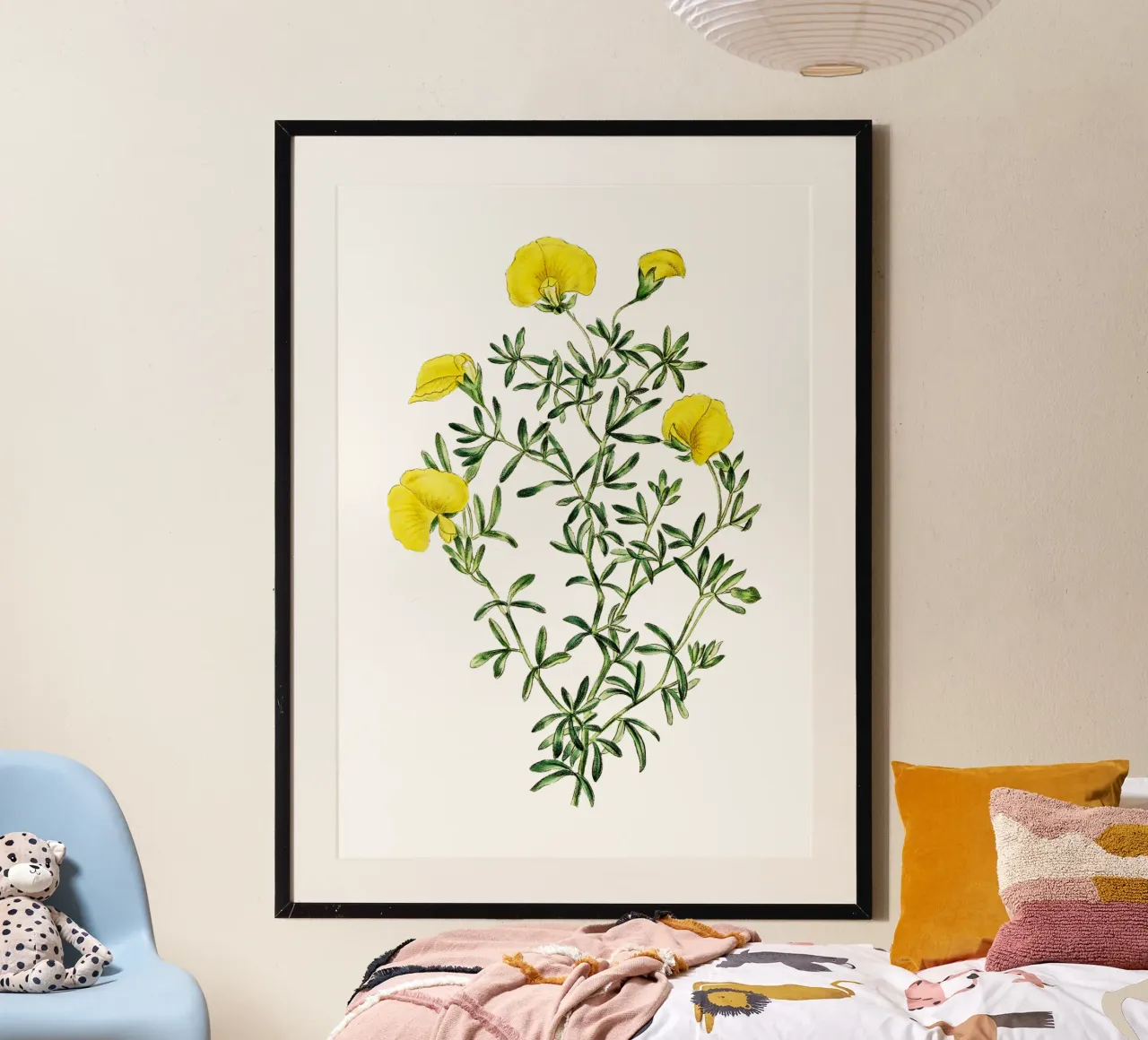 illustrazione botanica d'epoca fiore di gompholobium poster da Pretty Flowers Vintage Botanicals