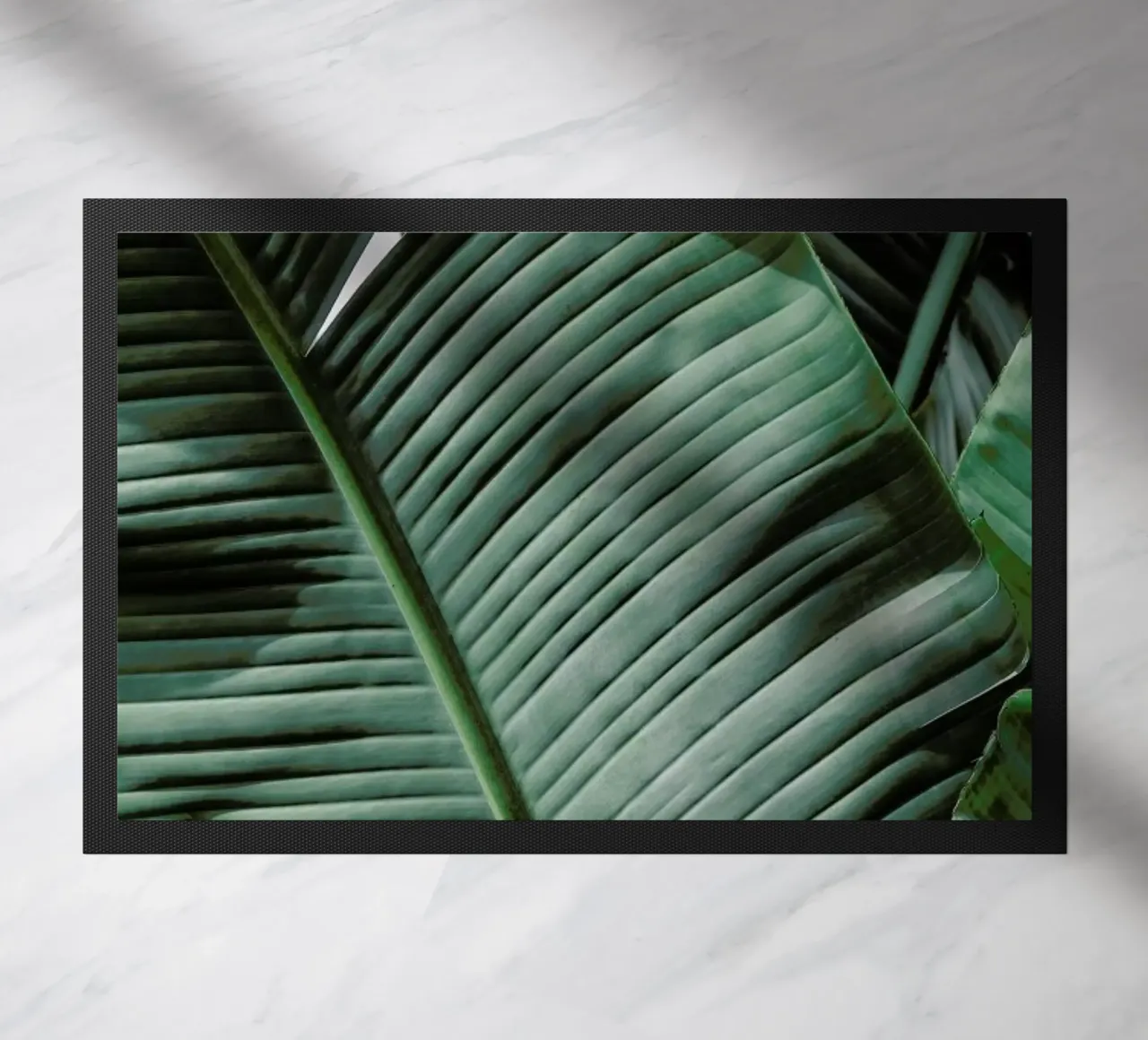 Natal zerbino da Shot By Clint