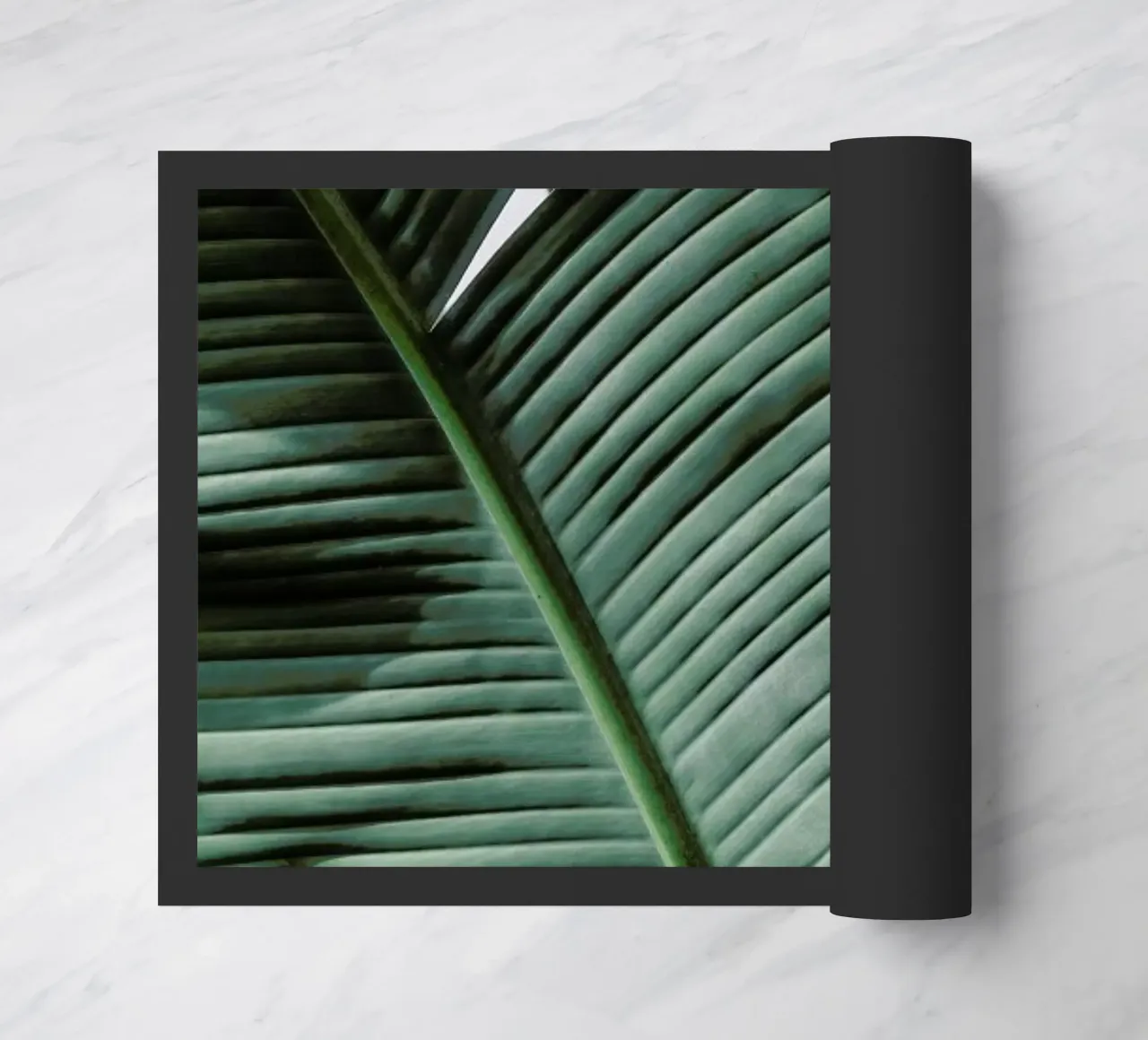 Natal zerbino da Shot By Clint