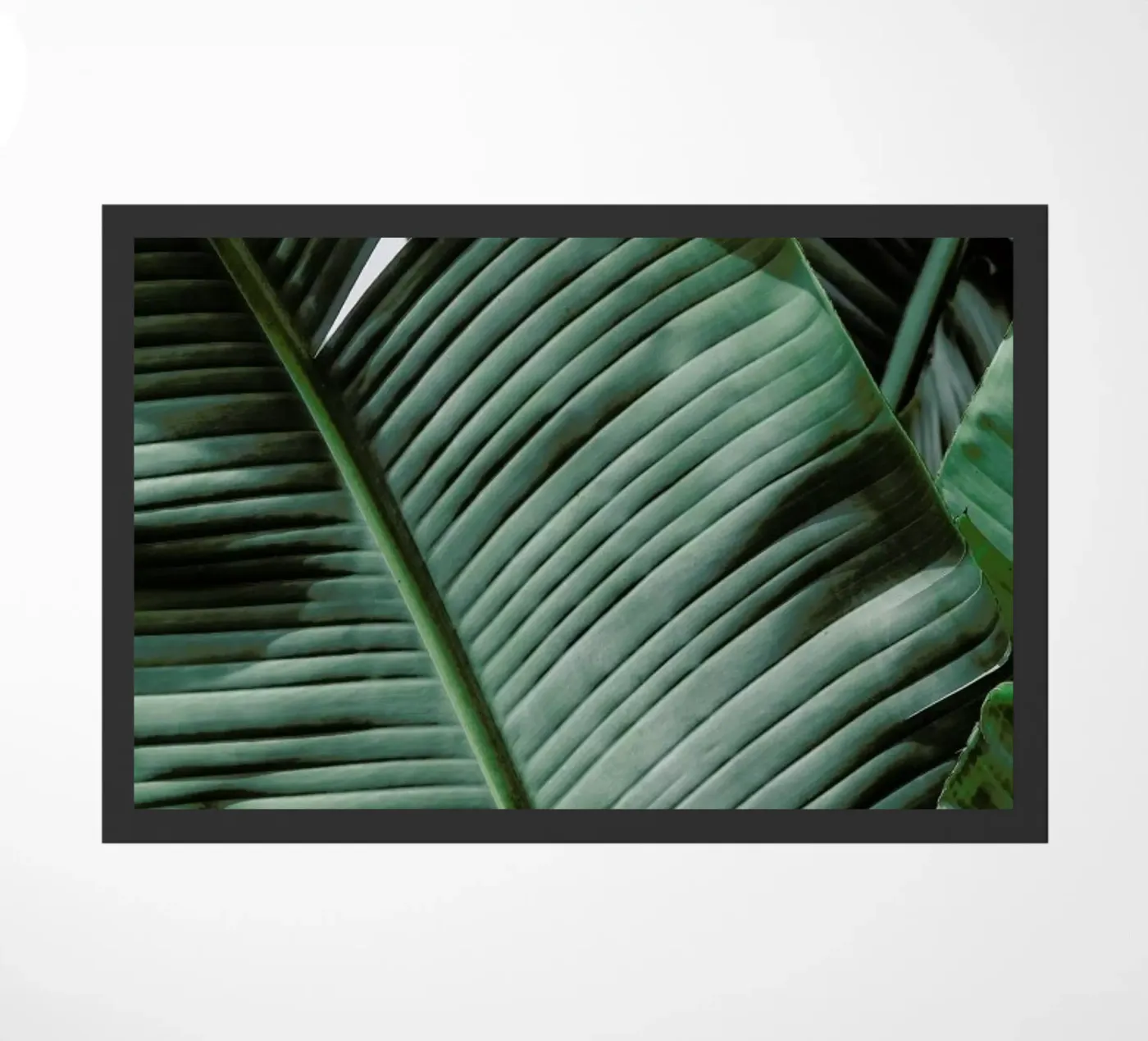 Natal doormat by Shot By Clint