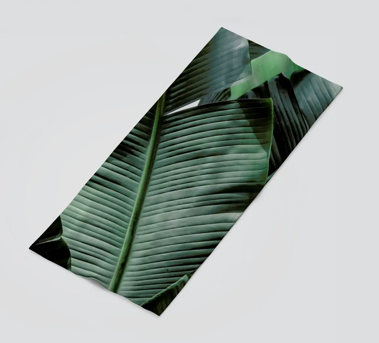 Natal telo mare da Shot By Clint