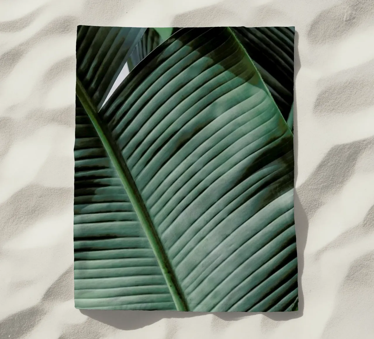 Natal telo mare da Shot By Clint