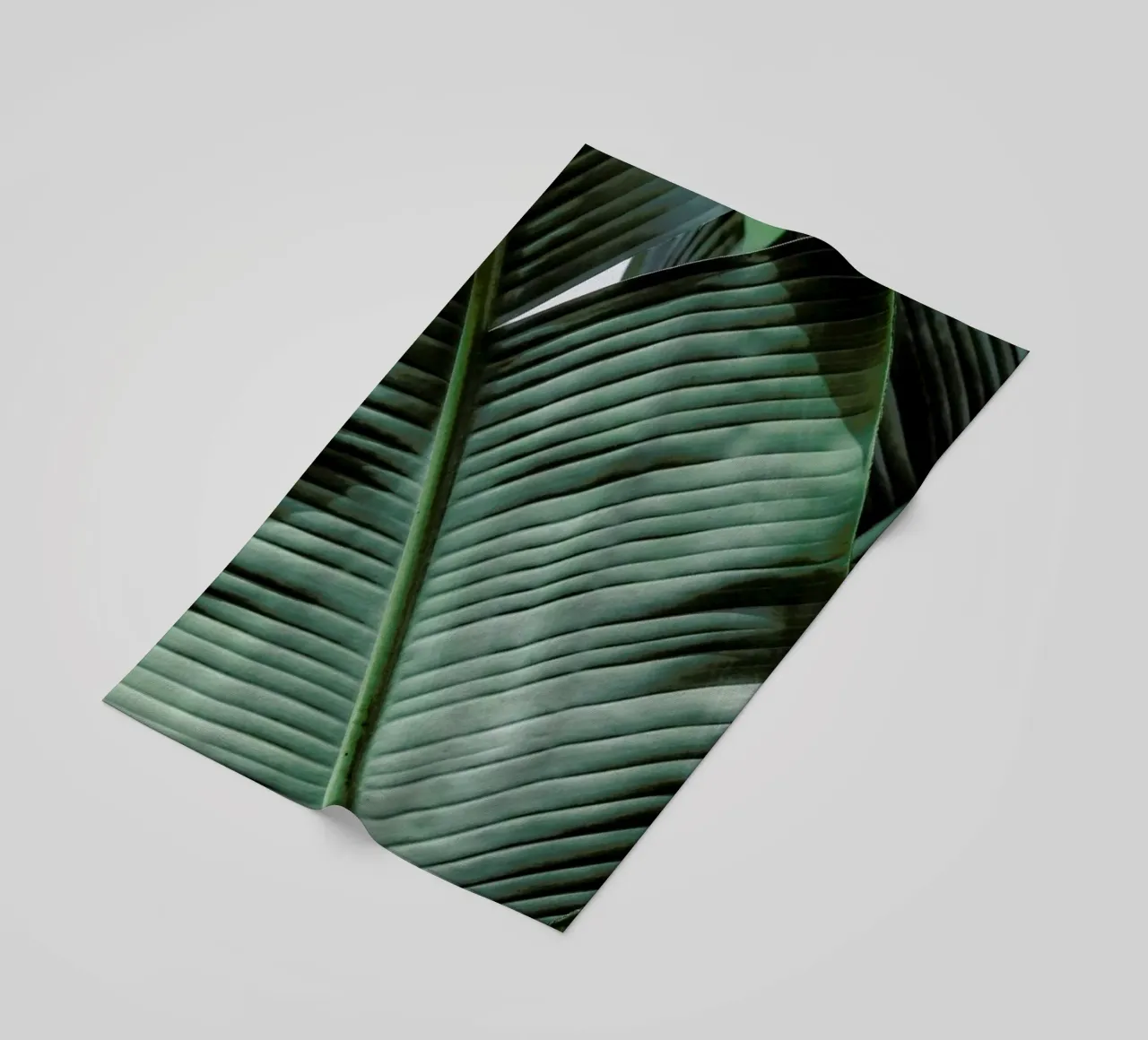 Natal telo mare da Shot By Clint