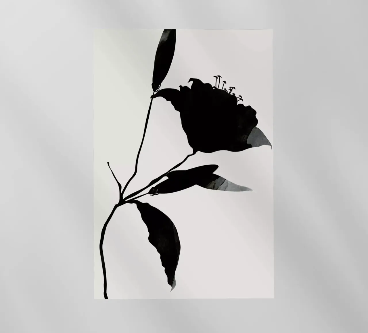 Nero pellicola backlit da Kubistika