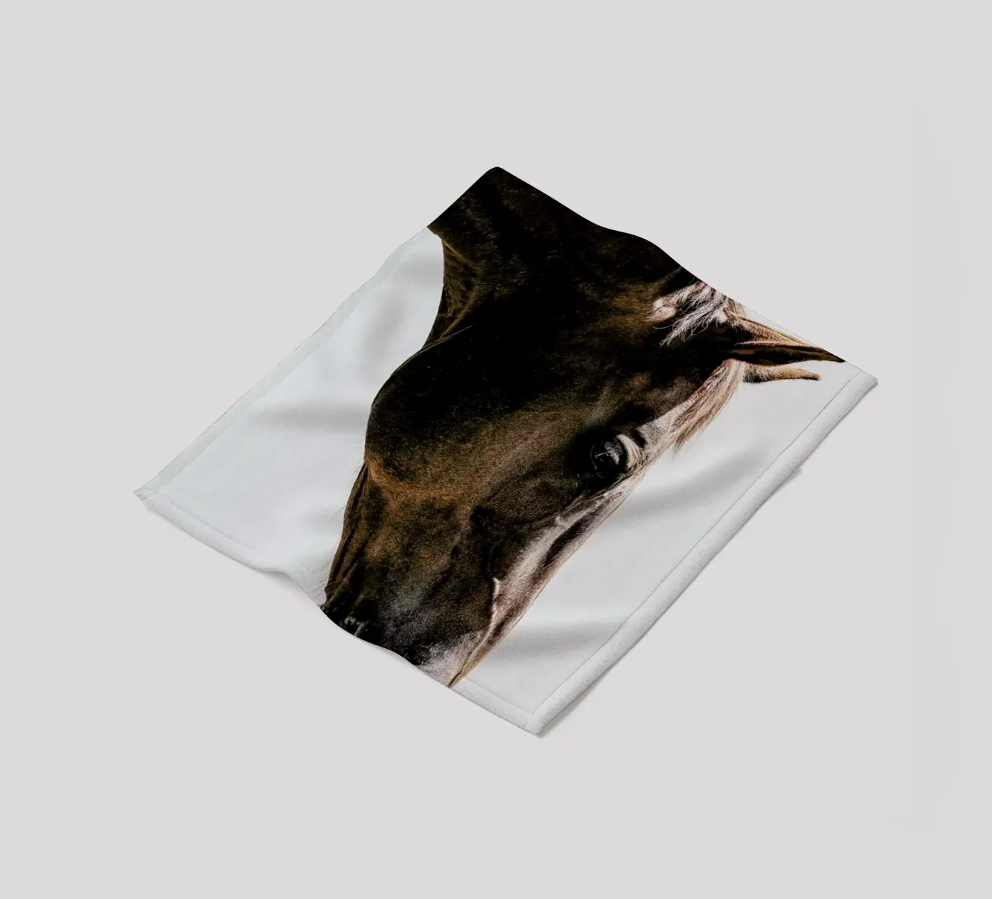 Russian fleece blanket by Shot By Clint