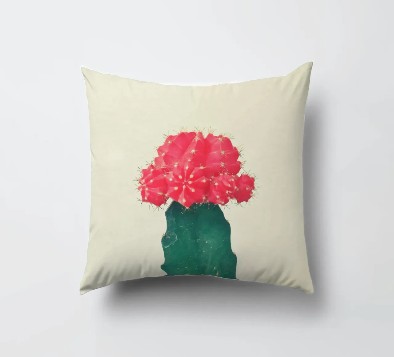 Cactus a quadri rossi cuscino da Cassia Beck Photography
