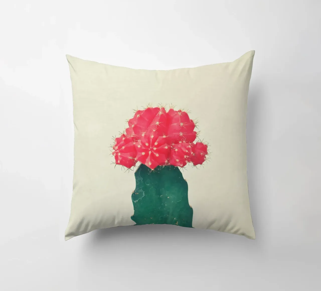Cactus a quadri rossi cuscino da Cassia Beck Photography