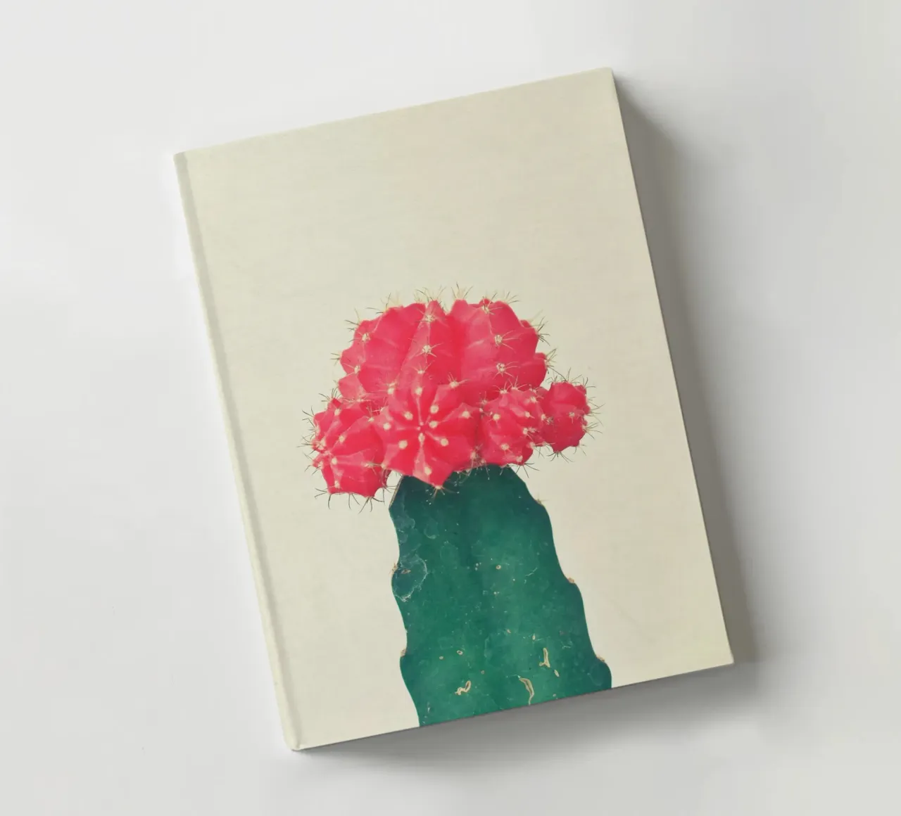 Red Plaid Cactus notebook by Cassia Beck Photography
