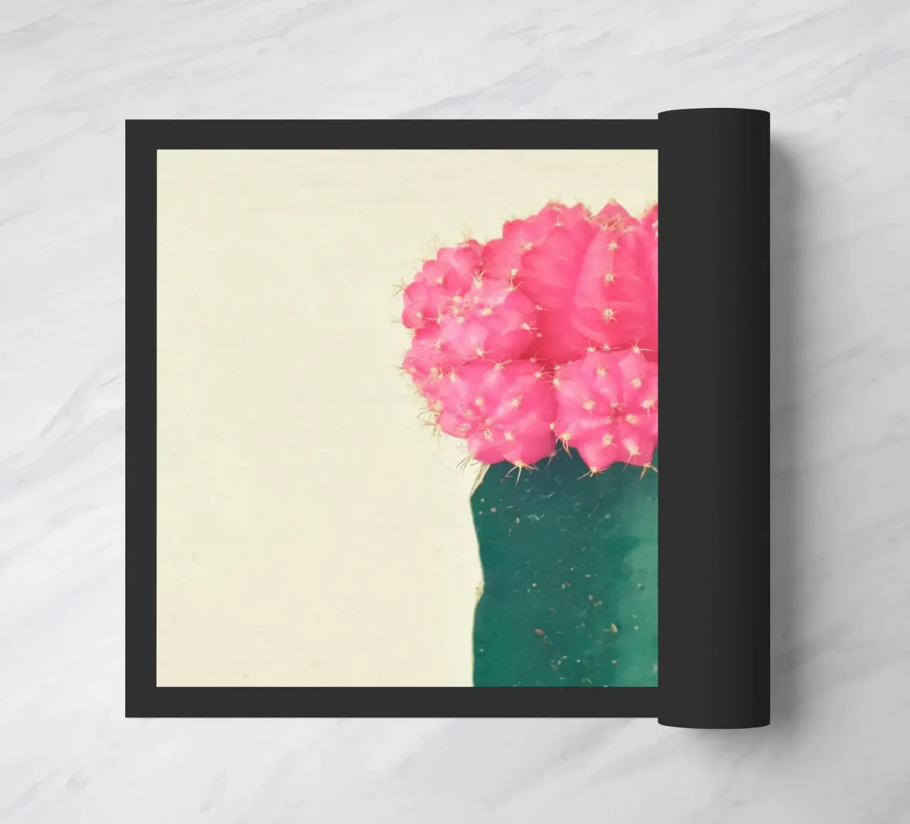 Cactus a quadri rosa zerbino da Cassia Beck Photography