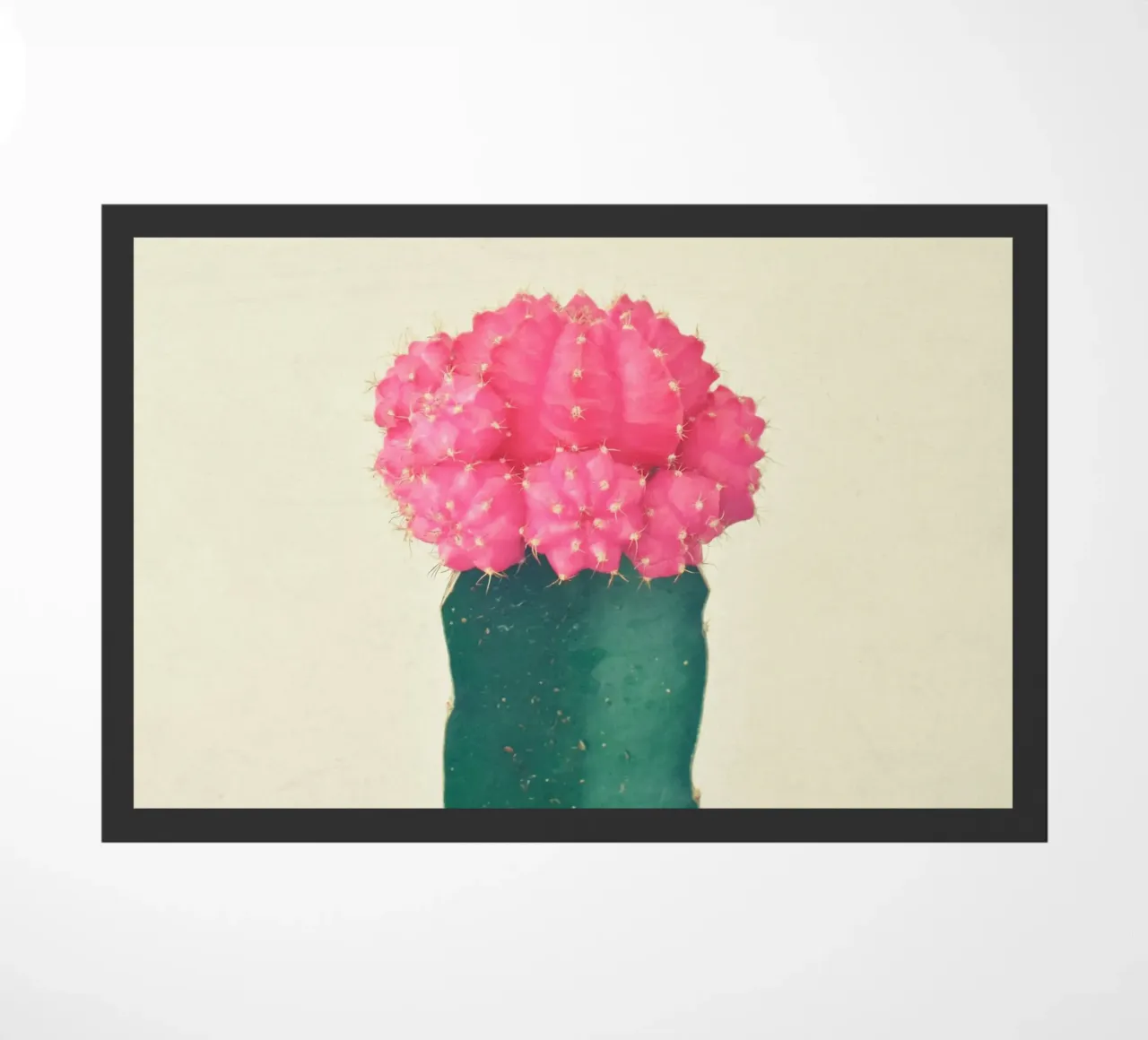 Cactus a quadri rosa zerbino da Cassia Beck Photography