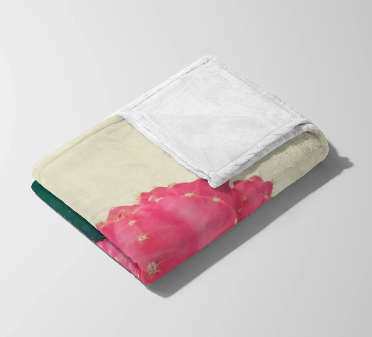 Cactus a quadri rosa coperta in pile da Cassia Beck Photography