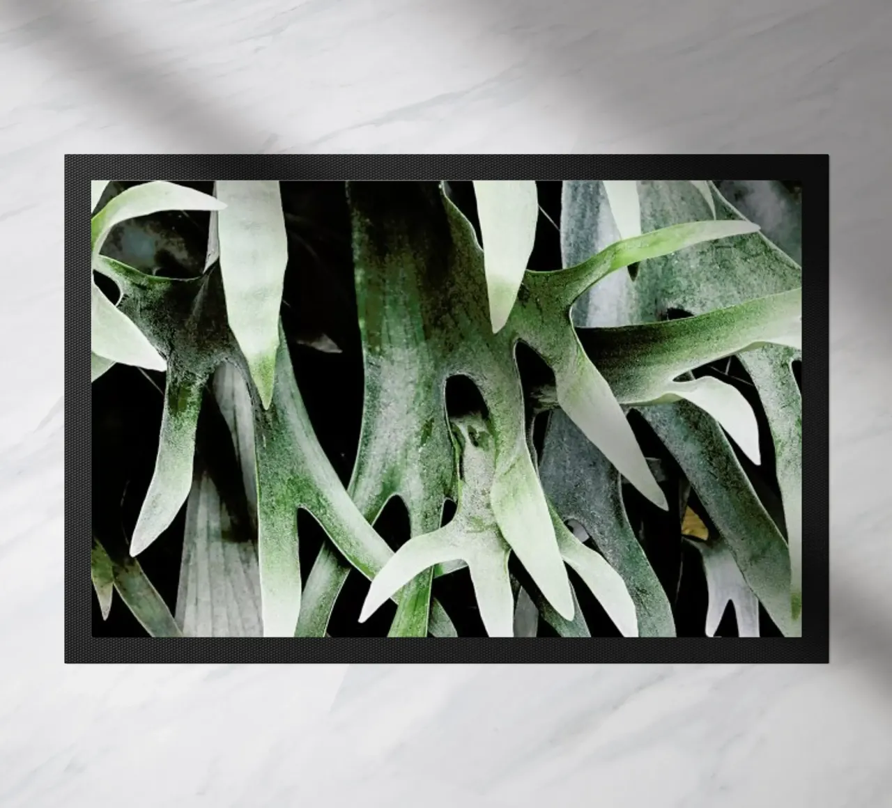 Stag zerbino da Shot By Clint