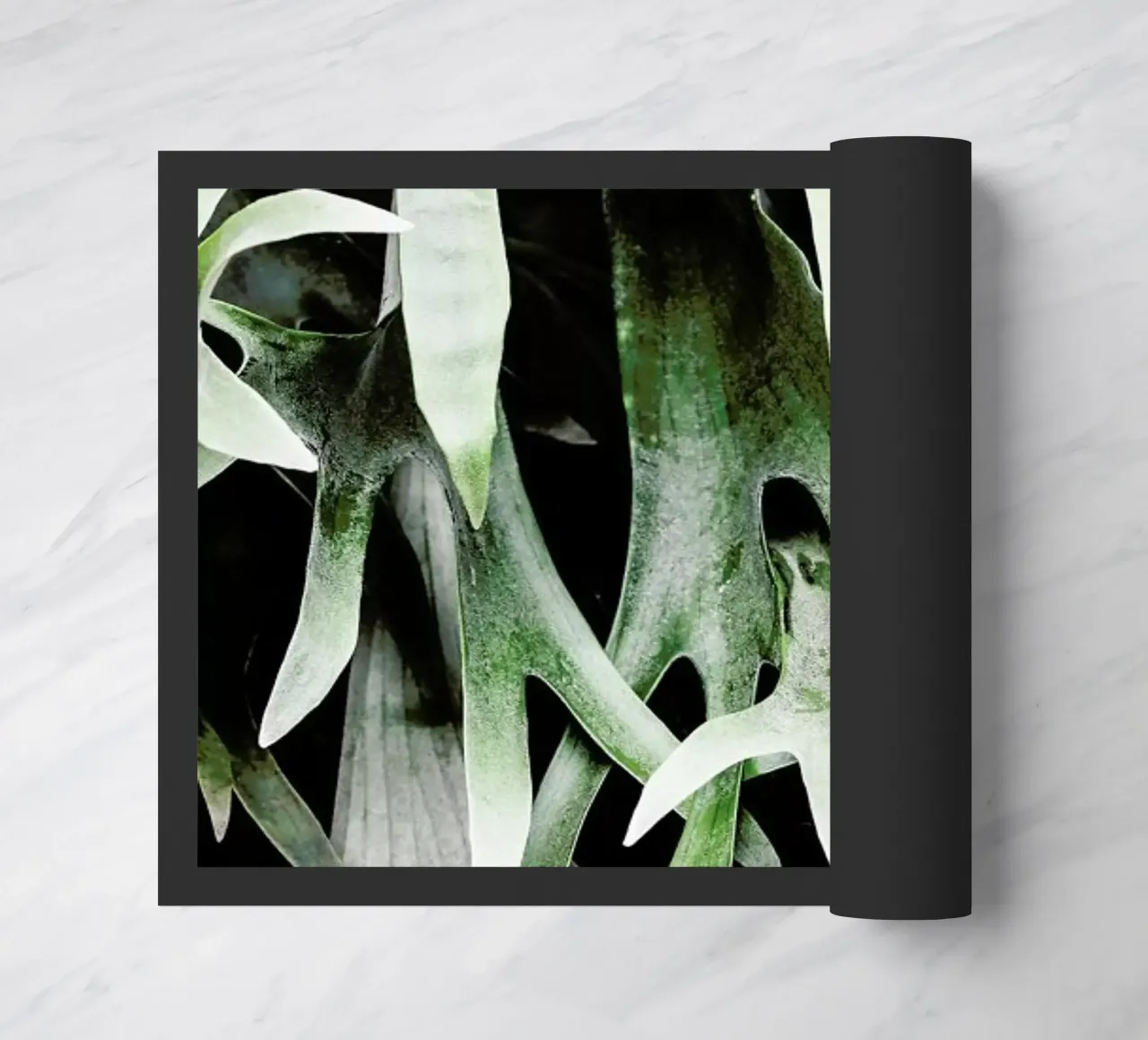 Stag zerbino da Shot By Clint