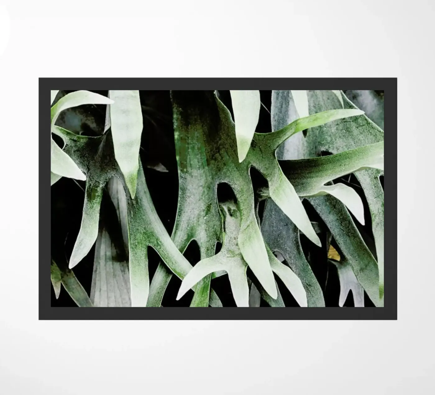 Stag doormat by Shot By Clint