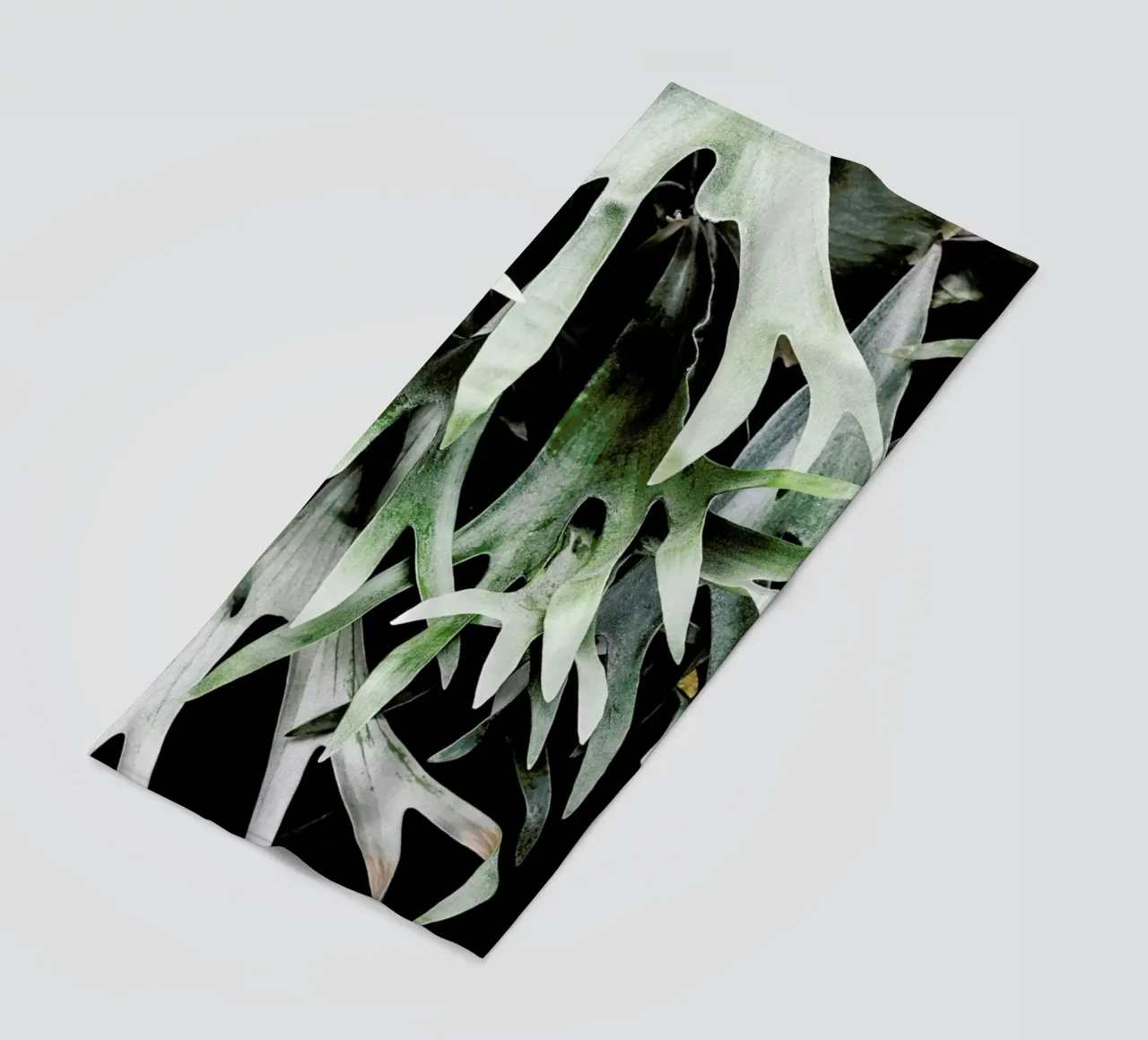 Stag telo mare da Shot By Clint