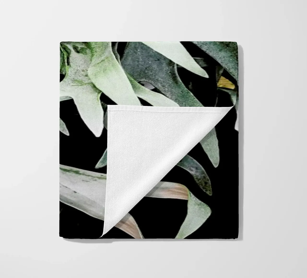 Stag telo mare da Shot By Clint