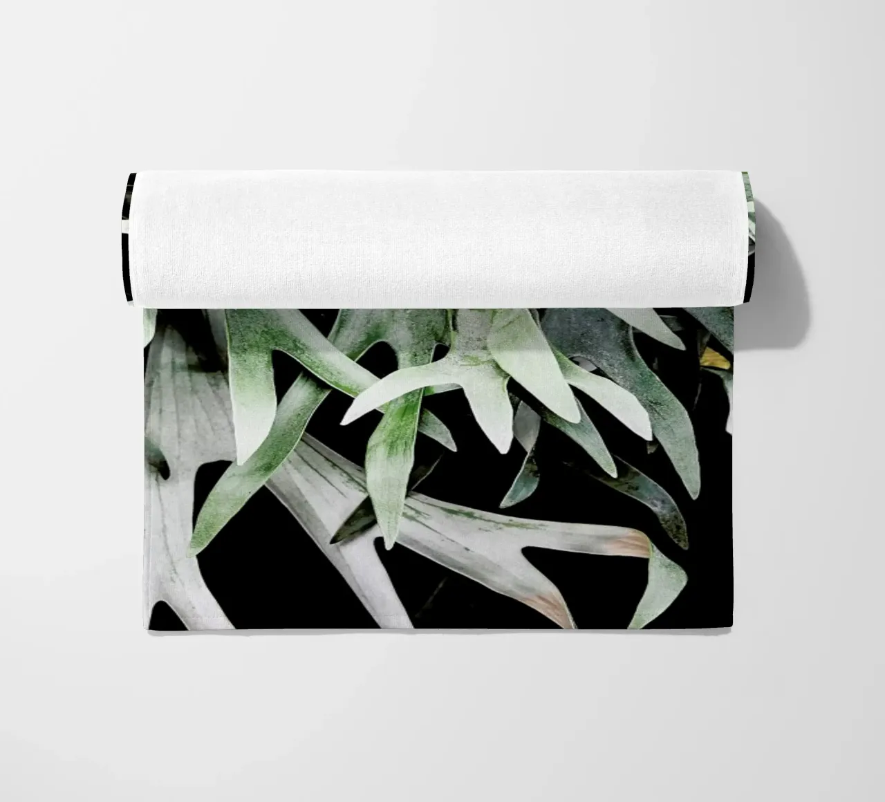 Stag telo mare da Shot By Clint