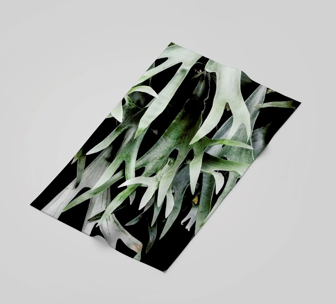 Stag telo mare da Shot By Clint