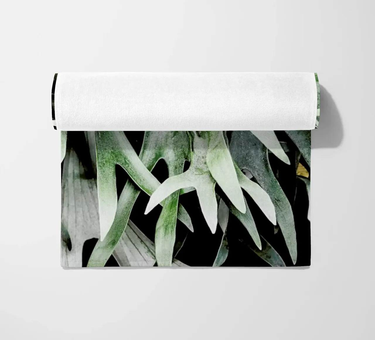 Stag telo mare da Shot By Clint