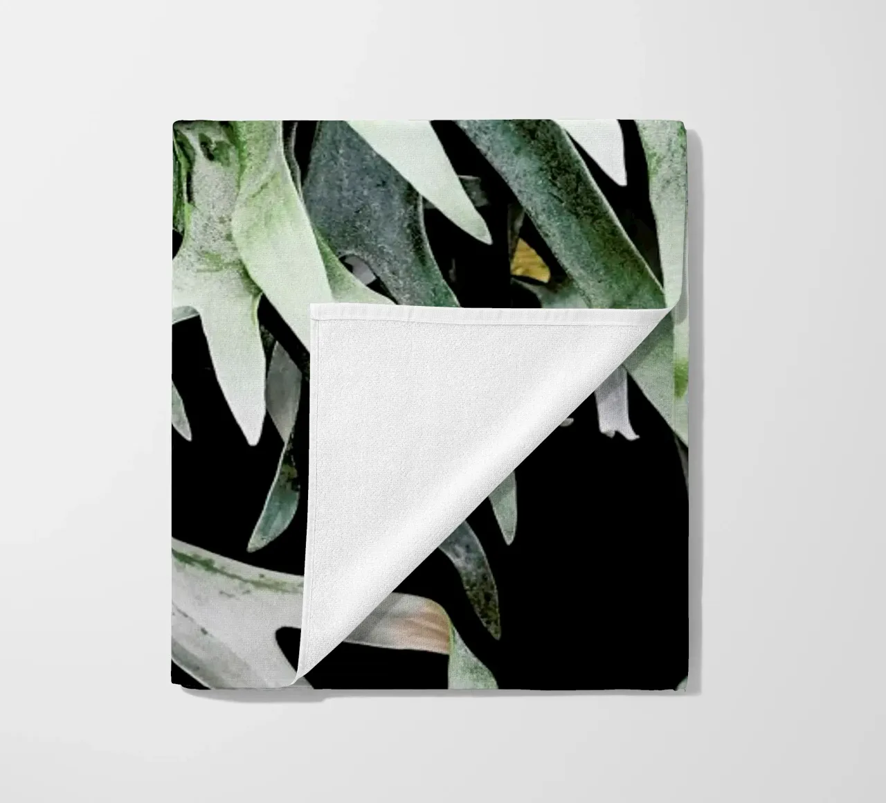 Stag telo mare da Shot By Clint