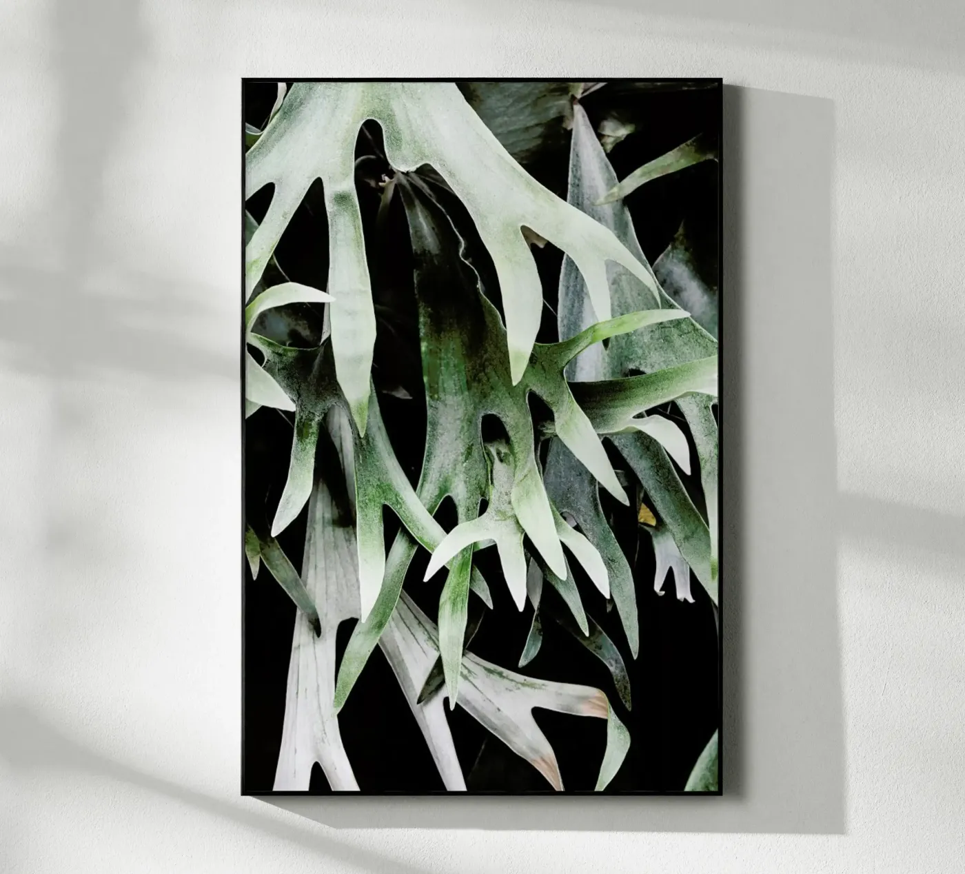Stag acrylic glass by Shot By Clint