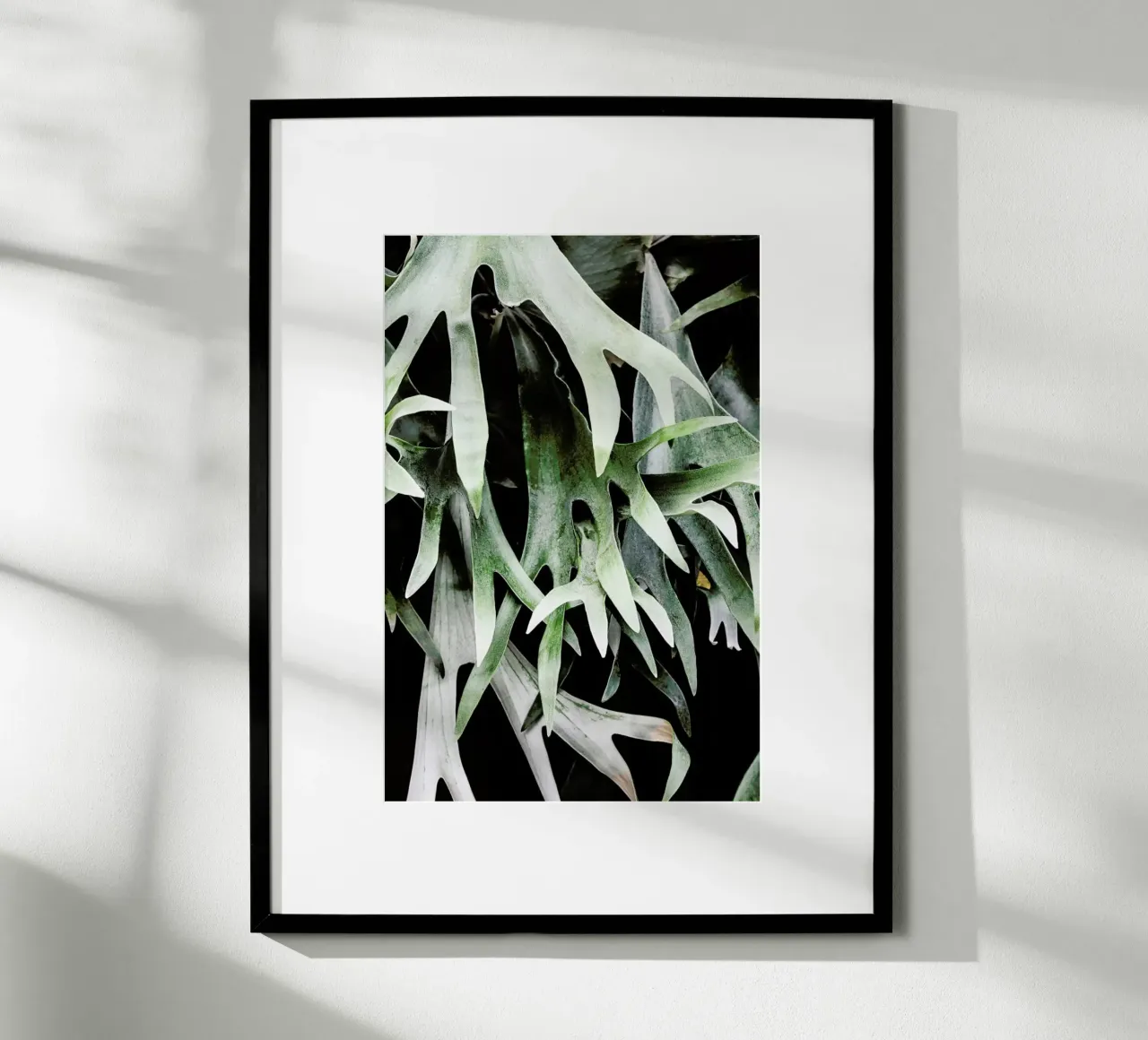 Stag poster da Shot By Clint