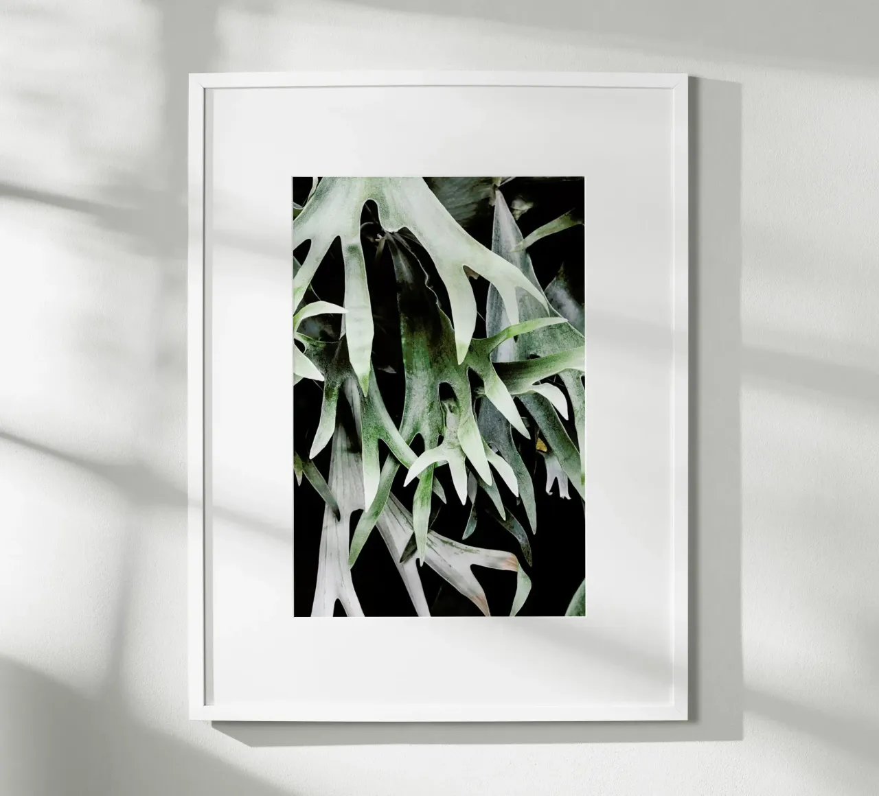 Stag poster da Shot By Clint