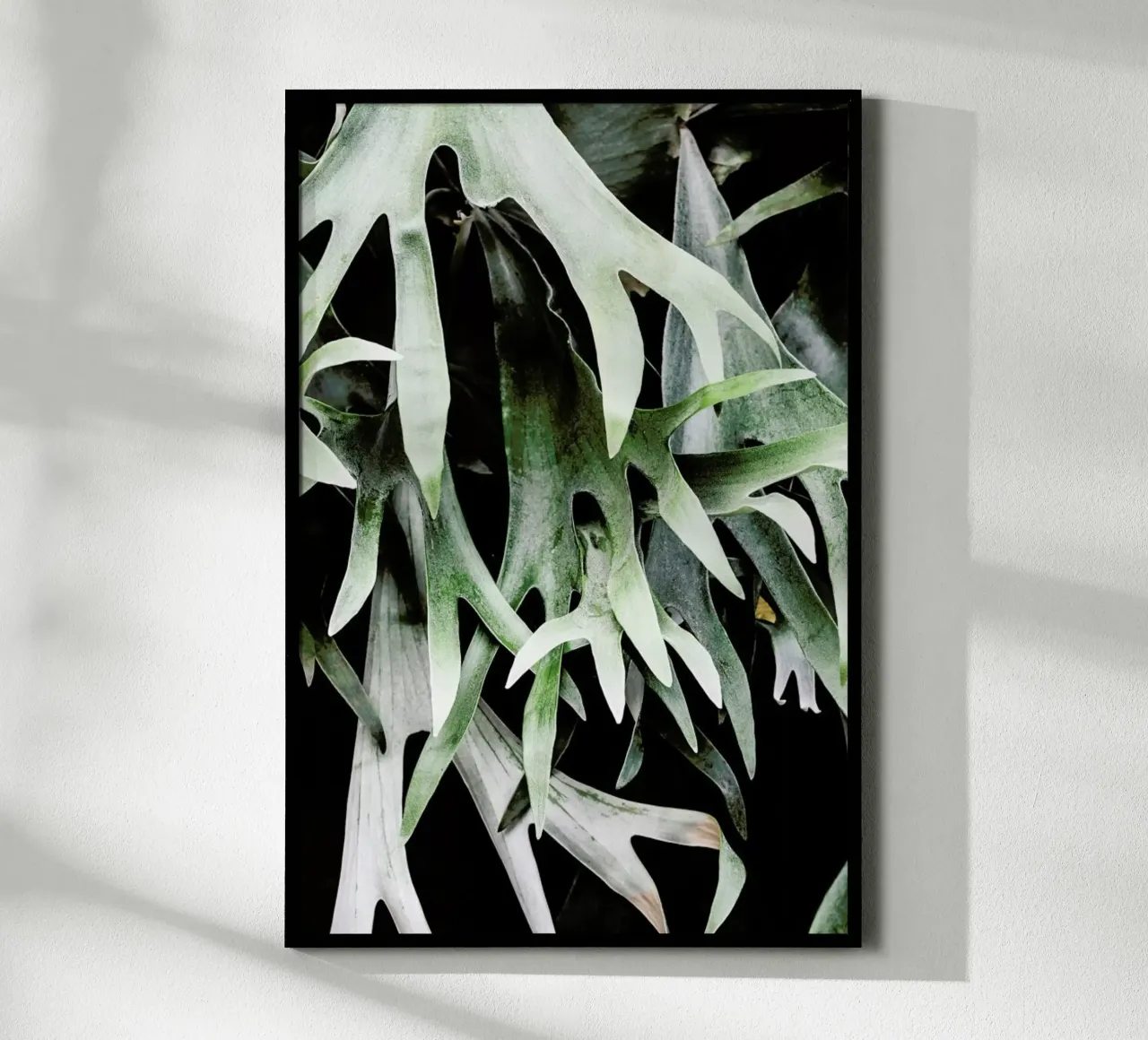 Stag poster da Shot By Clint